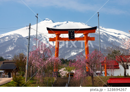 青森県弘前市百沢東岩木山 津軽高野山金剛院の鳥居と満開の桜と残雪の岩木山 青森県弘前市百沢東岩木山 津軽高野山金剛院の鳥居と満開の桜と残雪の岩木山 128694267