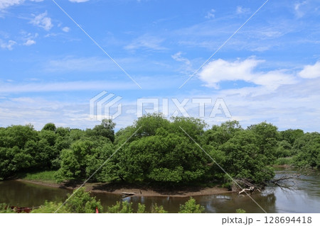 JR釧網本線の車窓からしか見ることのできない釧路湿原・釧路川の風景 JR釧網本線の車窓からしか見ることのできない釧路湿原・釧路川の風景 128694418