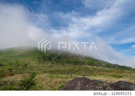 爽やかな高原　霧ヶ峰高原 128695151
