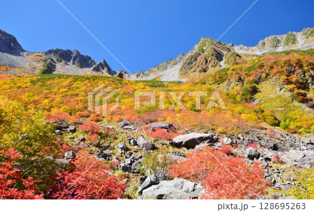 涸沢カールの紅葉と穂高連峰 128695263