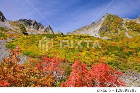 涸沢カールの紅葉と穂高連峰 128695285