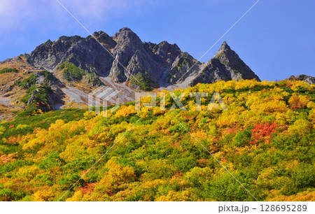 涸沢カールの紅葉と穂高連峰 128695289