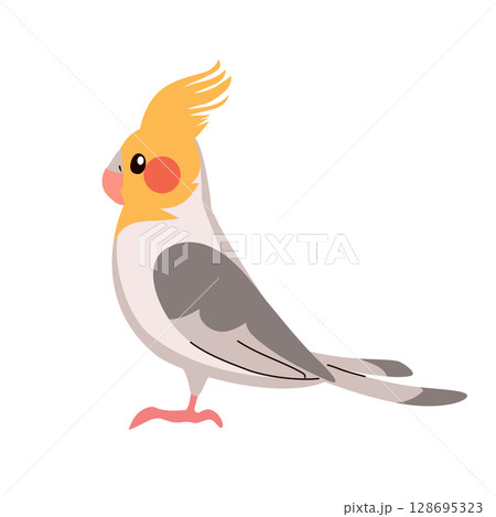 Cartoon Vector Silhouette of a Cockatiel Bird in Profile View Illustration 128695323