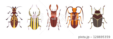 Insect Bugs and Beetle with Antenna and Multiple Legs Vector Set Insect Bugs and Beetle with Antenna and Multiple Legs Vector Set 128695359