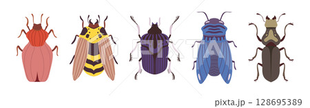 Insect Bugs and Beetle with Antenna and Multiple Legs Vector Set 128695389
