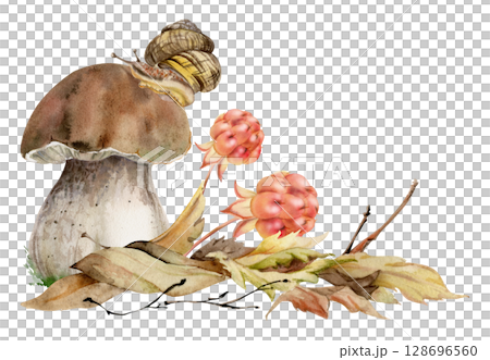 Bolete cep mushroom with snail on top of fallen autumn leaves pile, cloudberry berries twigs. Fungus forest harvest. Illustration hand drawn in watercolor. Seasonal planner stickers, menu cookbook Bolete cep mushroom with snail on top of fallen autumn leaves pile, cloudberry berries twigs. Fungus forest harvest. Illustration hand drawn in watercolor. Seasonal planner stickers, menu cookbook 128696560