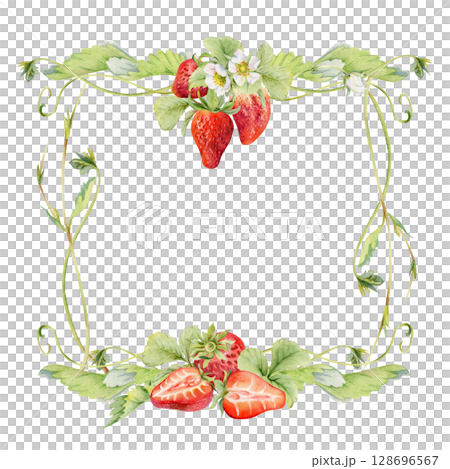 Strawberry hanging on stems with vines tendrils, ripe garden berry pineberry strasberry. Isolated hand drawn watercolor vignette frame. Farmers market, eco gardening stationery, food packaging cards 128696567