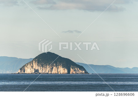 【東京九州フェリーはまゆう新門司行　高知県柏島沖を航行　蒲葵島】 128696606