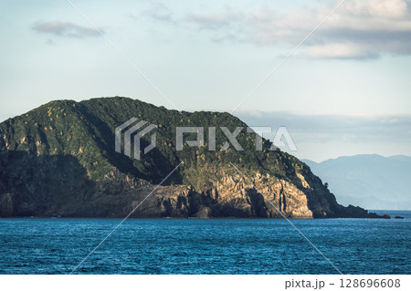 【東京九州フェリーはまゆう新門司行　高知県沖を航行　姫島】 128696608