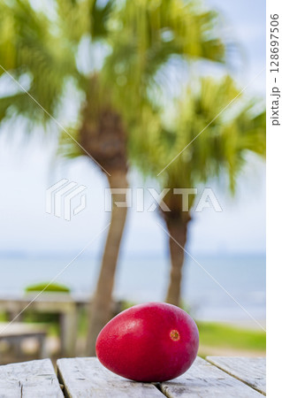完熟宮﨑マンゴーと青嶋海岸 完熟宮﨑マンゴーと青嶋海岸 128697506