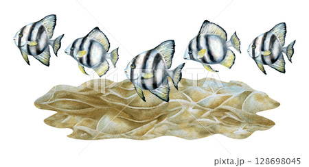 Black - white striped tropical fish over sandy bottom of beige sand dunes. Watercolor of underwater life clip art on white background for marine design, diving, scrapbooking, stickers, textile. 128698045