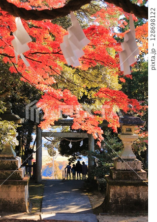 栃木県佐野市　紅葉の唐沢山神社　山門前の石段に紅葉したもみじの葉 128698122
