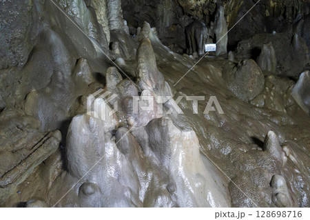 岩手県 安家洞の鍾乳洞 石筍 岩手県 安家洞の鍾乳洞 石筍 128698716