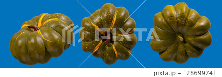 Celebrate Halloween and Thanksgiving With Decorative Green Pumpkins in Autumn 128699741