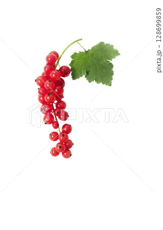 Fresh Red currant berry isolated on white background. 128699859