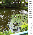静寂に咲く睡蓮と森の池 128699935