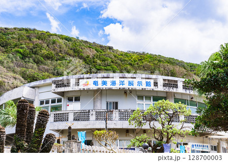 奄美海洋展示館 は 大浜海浜公園 にある 観光スポット 【 奄美 の 観光地 】 奄美海洋展示館 は 大浜海浜公園 にある 観光スポット 【 奄美 の 観光地 】 128700003