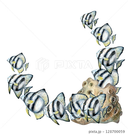 Corner semicircle border of black-white striped tropical fish, beige sponge coral. Watercolor underwater life template on white background for sea design, diving, scrapbooking, stickers, textile. 128700059
