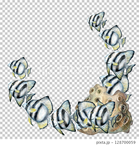 Corner semicircle border of black-white striped tropical fish, beige sponge coral. Watercolor underwater life template on white background for sea design, diving, scrapbooking, stickers, textile. 128700059