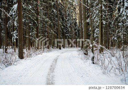 Snowy winter road through a pine forest 128700634