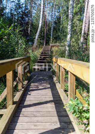 Wooden walkway winding through a densely wooded forest on a sunny day during late summer Wooden walkway winding through a densely wooded forest on a sunny day during late summer 128700876