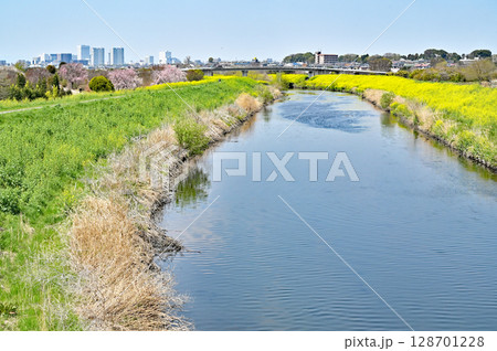 見沼田圃・芝川の流れ 128701228
