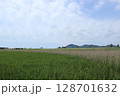 韓国の順天湾湿地 128701632