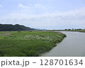 韓国の順天湾湿地 128701634