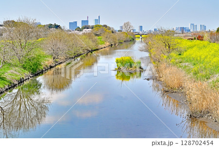 見沼田圃・芝川の流れ 見沼田圃・芝川の流れ 128702454