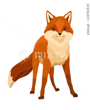 Red fox. Funny character, forest mammal predator. Cartoon forest animal, mammal with cute emotion on face. Orange fox, wildlife animal, isolated on white background Red fox. Funny character, forest mammal predator. Cartoon forest animal, mammal with cute emotion on face. Orange fox, wildlife animal, isolated on white background 128702634