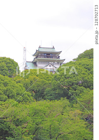 愛知県小牧市、小牧山山頂の小牧城の風景 128702713