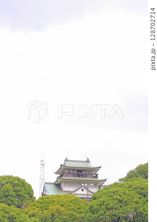 愛知県小牧市、小牧山山頂の小牧城の風景 128702714