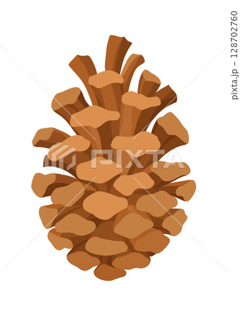 Fir or pine cone. Nature decoration symbol, forest sign. Isolated on white background. Set hand drawn coniferous cone. Colored vector illustration 128702760