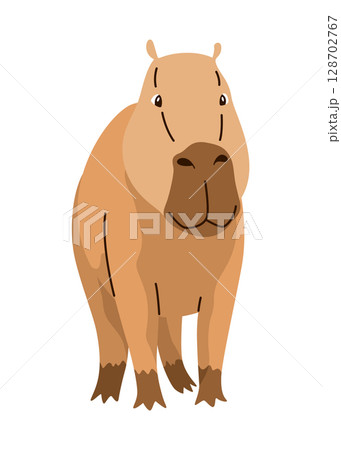 Capybara. Cartoon cute animal, wild herbivore mammal resting. Funny adorable exotic animal relaxing. Cartoon flat vector illustration 128702767