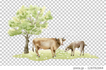 Watercolor grazing cow with baby calf on green grass meadow and tree illustration isolated on white. Pasture farm animals with wildflowers clip art for village designs. Hand drawn cattle sketch 128702844