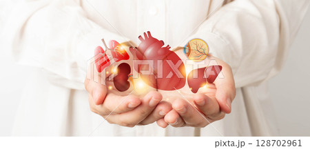 Organ donation and transplantation concept. Doctor hands holding liver, heart, eye, kidney and lung symbol. Health care and medical. Organ donation and transplantation concept. Doctor hands holding liver, heart, eye, kidney and lung symbol. Health care and medical. 128702961
