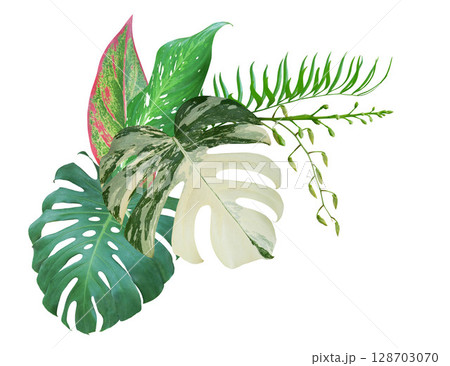 Bouquet of tropical green leaves botanical decorative arrangement nature background 128703070