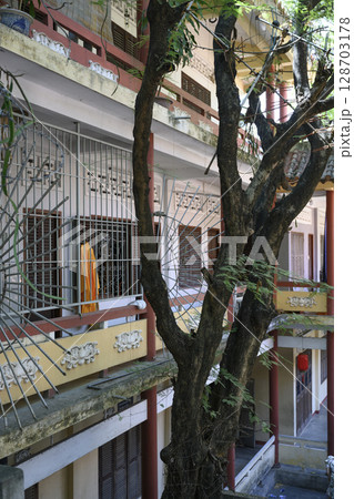 Tropical tree and Buddhist monks' dormitory at the Long Son Pagoda Complex in Nha Trang, Vietnam 128703178