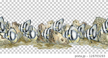 Seamless border of black-white striped tropical fish, beige corals on the reefs. Watercolor template of seascape in beige tones isolated on white background for sea design, diving, scrapbook, sticker Seamless border of black-white striped tropical fish, beige corals on the reefs. Watercolor template of seascape in beige tones isolated on white background for sea design, diving, scrapbook, sticker 128703283