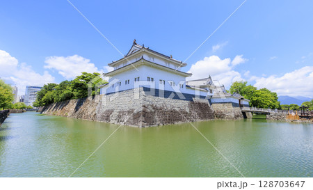 駿河城の夏 駿河城の夏 128703647