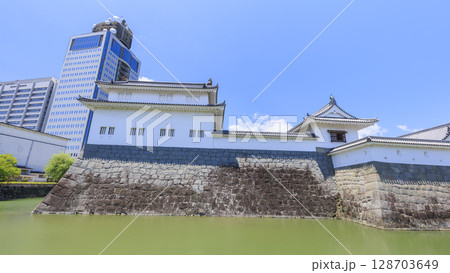 駿河城の夏 駿河城の夏 128703649