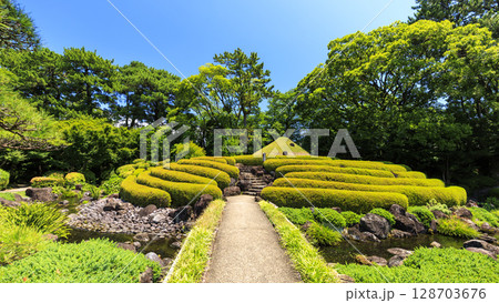 駿河城の夏 駿河城の夏 128703676