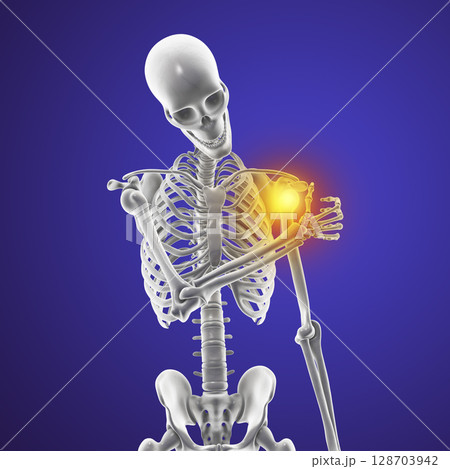 Human skeleton with shoulder pain Human skeleton with shoulder pain 128703942