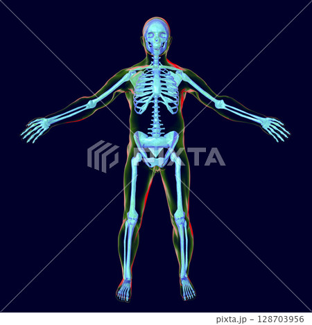 Male body with skeleton inside 128703956