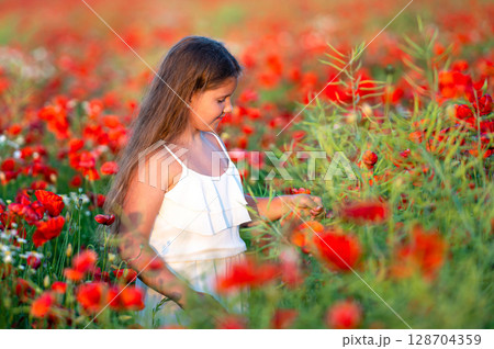 cute girl wearing white dress in summer blooming poppy field walking under evening sun cute girl wearing white dress in summer blooming poppy field walking under evening sun 128704359