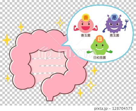 腸内環境　善玉菌　悪玉菌　日和見菌　元気な腸内 128704575