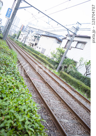 都電サクラトラムの線路 都電サクラトラムの線路 128704787