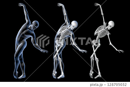 Anatomy of dancing and ballet, 3D illustration Anatomy of dancing and ballet, 3D illustration 128705032