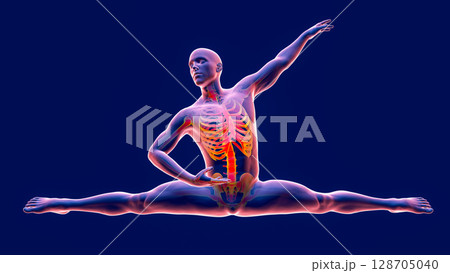 Anatomy of dancing and ballet, 3D illustration Anatomy of dancing and ballet, 3D illustration 128705040