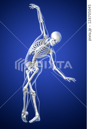 Anatomy of dancing and ballet, 3D illustration Anatomy of dancing and ballet, 3D illustration 128705045